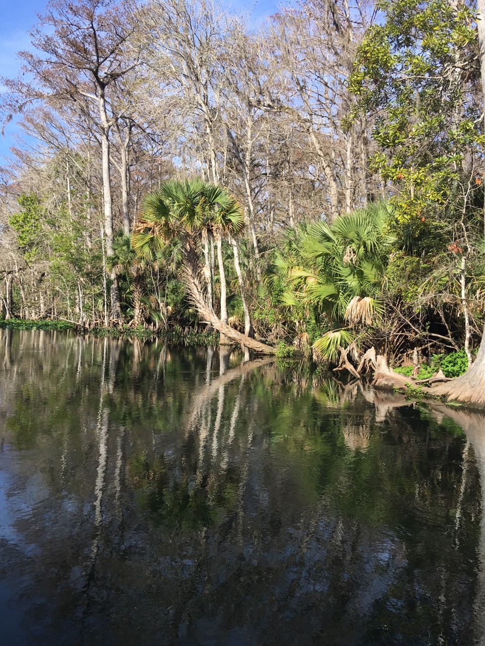 Places in Central Florida Jennifer Odom