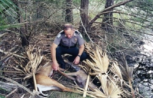 The life of a game warden - Naples Florida Weekly